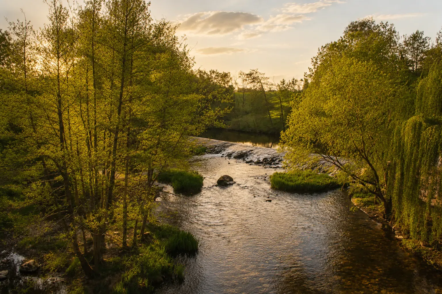 Nature
